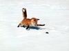 stormwier
